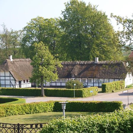 Baekgaarden B&B Lyndelse Zewnętrze zdjęcie