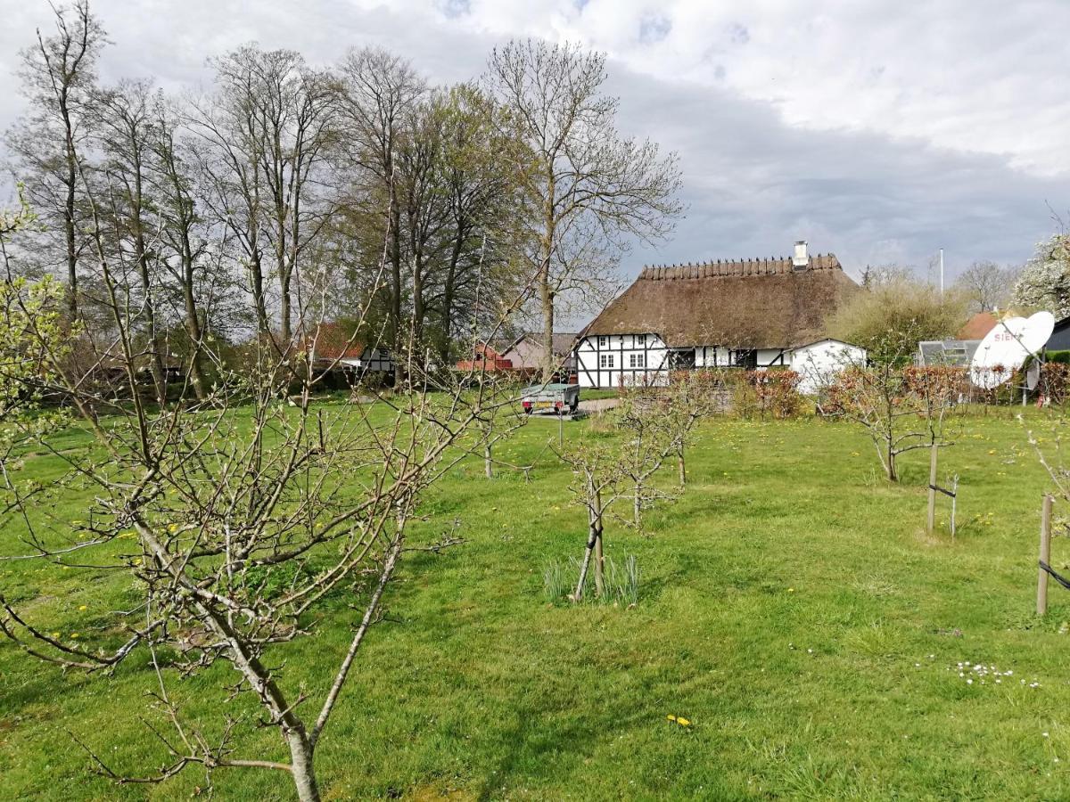 Baekgaarden B&B Lyndelse Zewnętrze zdjęcie