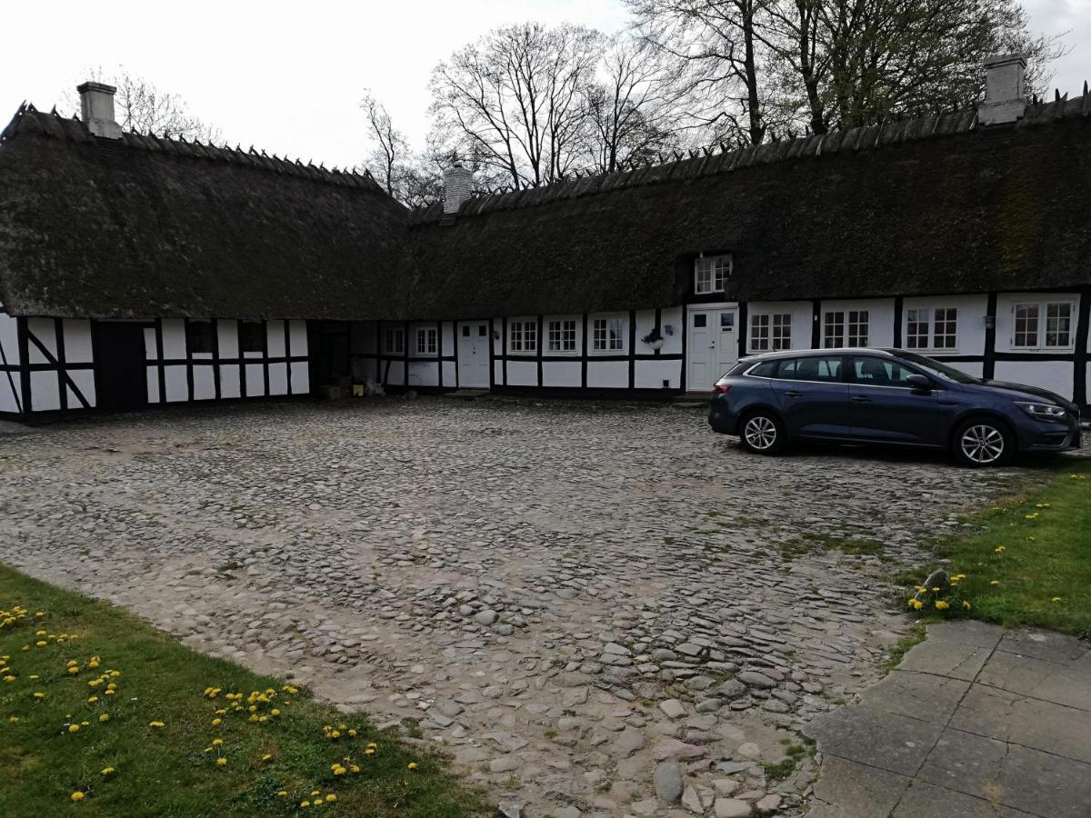 Baekgaarden B&B Lyndelse Zewnętrze zdjęcie