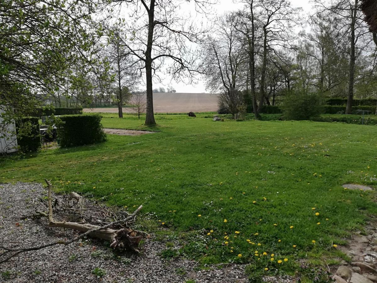 Baekgaarden B&B Lyndelse Zewnętrze zdjęcie