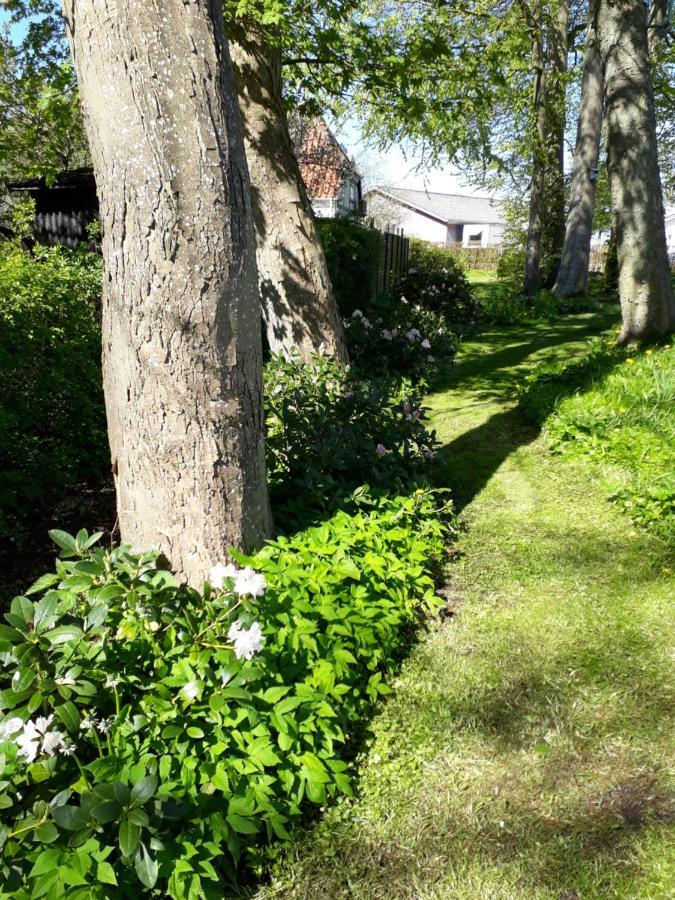 Baekgaarden B&B Lyndelse Zewnętrze zdjęcie