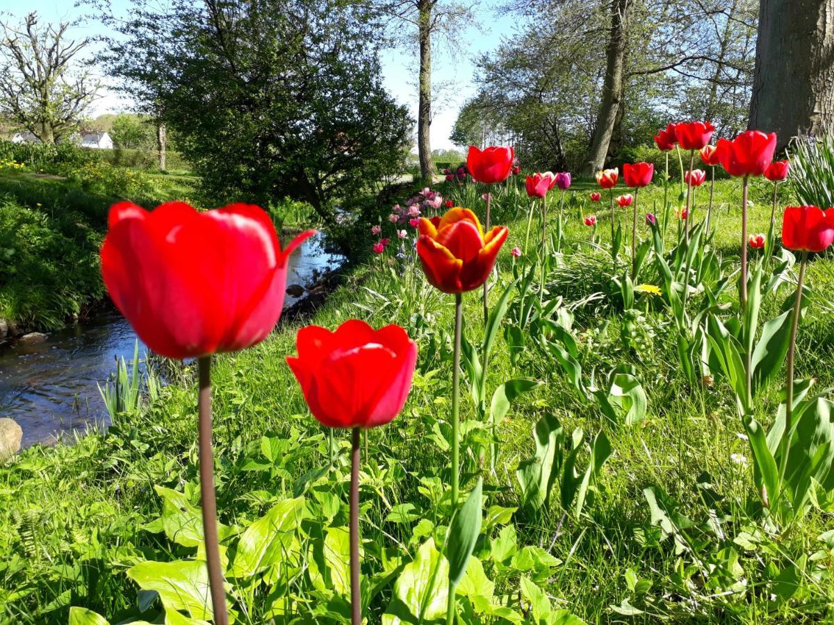Baekgaarden B&B Lyndelse Zewnętrze zdjęcie