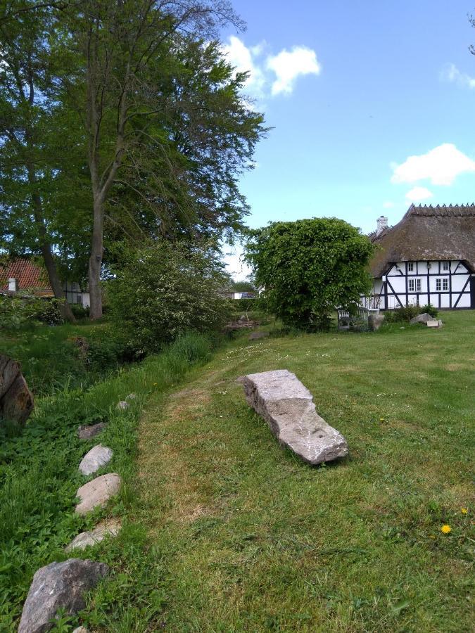 Baekgaarden B&B Lyndelse Zewnętrze zdjęcie